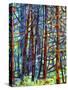 In a Pine Forest-Mandy Budan-Stretched Canvas