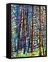 In a Pine Forest-Mandy Budan-Framed Stretched Canvas