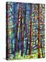 In a Pine Forest-Mandy Budan-Stretched Canvas