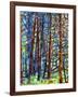 In a Pine Forest-Mandy Budan-Framed Giclee Print