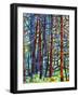 In a Pine Forest-Mandy Budan-Framed Giclee Print