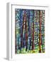 In a Pine Forest-Mandy Budan-Framed Giclee Print