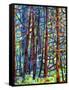 In a Pine Forest-Mandy Budan-Framed Stretched Canvas