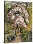 In a Shoreham Garden-Samuel Palmer-Stretched Canvas