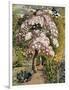 In a Shoreham Garden-Samuel Palmer-Framed Giclee Print