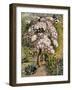 In a Shoreham Garden-Samuel Palmer-Framed Giclee Print