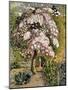 In a Shoreham Garden-Samuel Palmer-Mounted Giclee Print