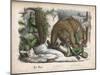 In a Snowy Wood the Bear Successfully Hunts Down the Hunter-null-Mounted Art Print