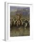 In a Stampede-Frederic Sackrider Remington-Framed Giclee Print