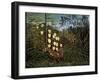 In a Tropical Forest. Struggle Between Tiger and Bull, 1908-1909-Henri Rousseau-Framed Giclee Print