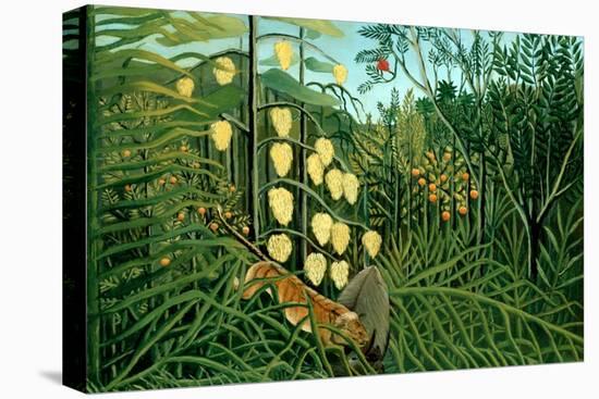 In a Tropical Forest; Tiger Attacks a Buffalo-Henri Rousseau-Stretched Canvas