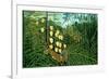 In a Tropical Forest; Tiger Attacks a Buffalo-Henri Rousseau-Framed Art Print