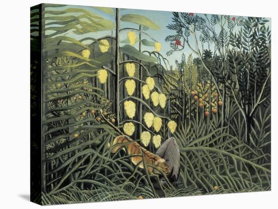 In a Tropical Forest-Henri Rousseau-Stretched Canvas