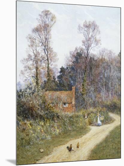 In a Witley Lane-Helen Allingham-Mounted Giclee Print