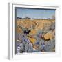 In an Arroyo, C.1914-24 (Oil on Canvas)-Walter Ufer-Framed Giclee Print