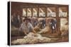 In an Australian Sheep Shearing Shed-Percy F.s. Spence-Stretched Canvas