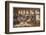 In an Australian Sheep Shearing Shed-Percy F.s. Spence-Framed Photographic Print