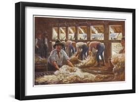 In an Australian Sheep Shearing Shed-Percy F.s. Spence-Framed Photographic Print