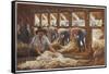 In an Australian Sheep Shearing Shed-Percy F.s. Spence-Framed Stretched Canvas