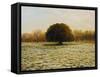 In Anticipation Of The Spring-kirilstanchev-Framed Stretched Canvas