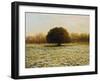 In Anticipation Of The Spring-kirilstanchev-Framed Art Print