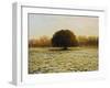 In Anticipation Of The Spring-kirilstanchev-Framed Art Print