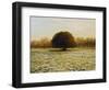 In Anticipation Of The Spring-kirilstanchev-Framed Art Print