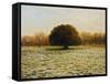 In Anticipation Of The Spring-kirilstanchev-Framed Stretched Canvas