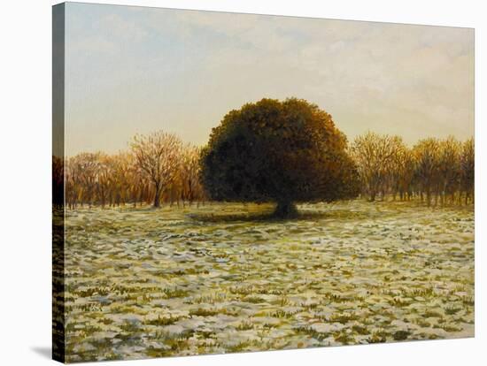 In Anticipation Of The Spring-kirilstanchev-Stretched Canvas