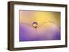 In arms-Heidi Westum-Framed Photographic Print