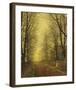 In Autumn's Golden Glow-John Atkinson Grimshaw-Framed Premium Giclee Print