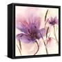 In Bloom 2-Jurgen Gottschlag-Framed Stretched Canvas