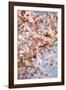 In Bloom III-Karyn Millet-Framed Photographic Print