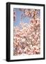 In Bloom IV-Karyn Millet-Framed Photographic Print