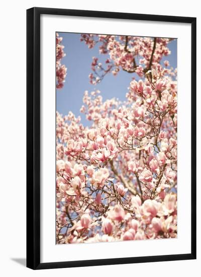In Bloom IV-Karyn Millet-Framed Photographic Print