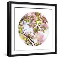 In Bloom - Sphere-Irene Suchocki-Framed Giclee Print