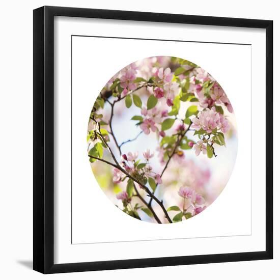 In Bloom - Sphere-Irene Suchocki-Framed Giclee Print