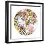 In Bloom - Sphere-Irene Suchocki-Framed Giclee Print