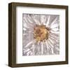 In Bloom VI-null-Framed Art Print