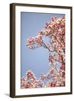 In Bloom VI-Karyn Millet-Framed Photographic Print