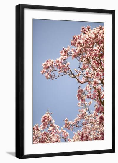 In Bloom VI-Karyn Millet-Framed Photographic Print