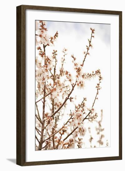 In Bloom XV-Karyn Millet-Framed Photographic Print