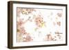 In Bloom XVII-Karyn Millet-Framed Photographic Print