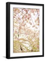 In Bloom XVIII-Karyn Millet-Framed Photographic Print