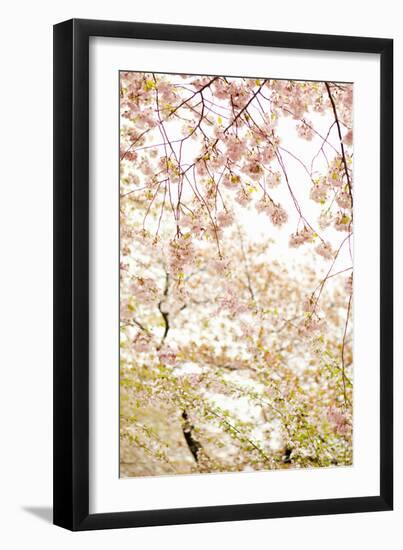 In Bloom XVIII-Karyn Millet-Framed Photographic Print