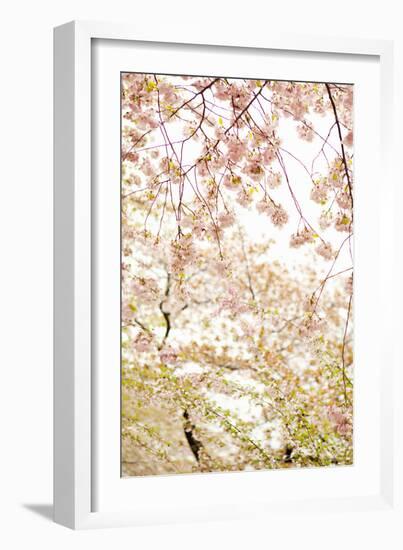 In Bloom XVIII-Karyn Millet-Framed Photographic Print