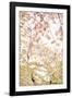 In Bloom XVIII-Karyn Millet-Framed Photographic Print