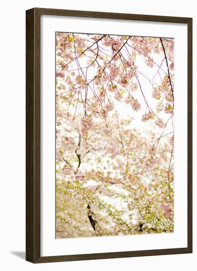 In Bloom XVIII-Karyn Millet-Framed Photographic Print
