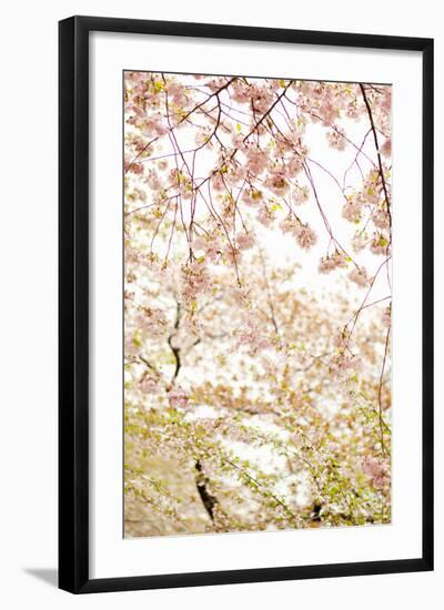 In Bloom XVIII-Karyn Millet-Framed Photographic Print