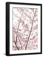 In Bloom XX-Karyn Millet-Framed Photographic Print